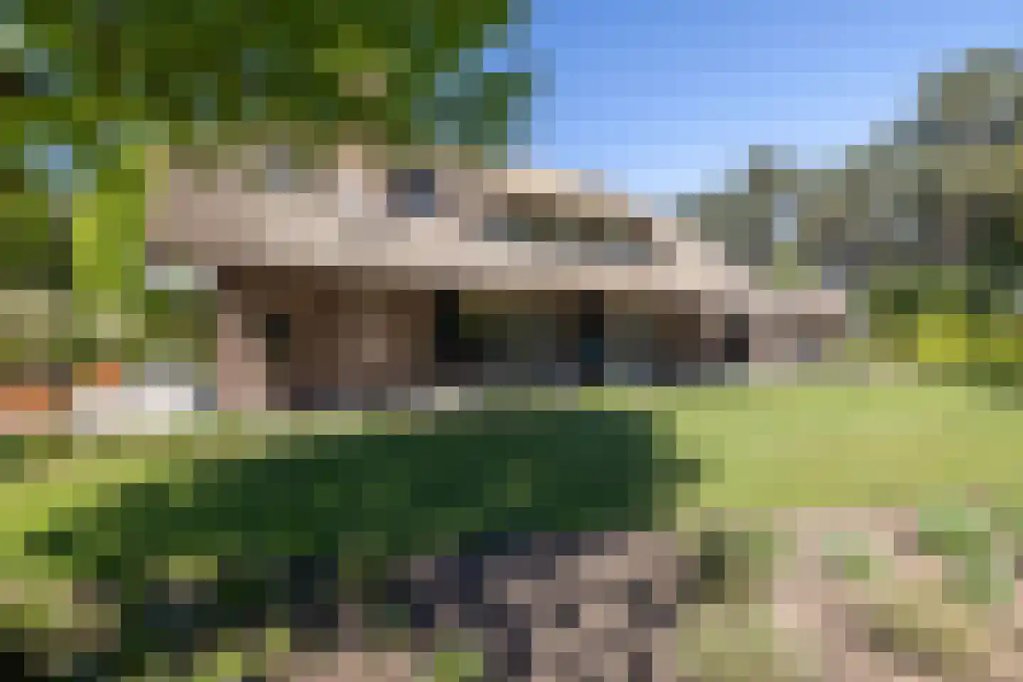 Bosrand 7 Asten thumbnail 37
