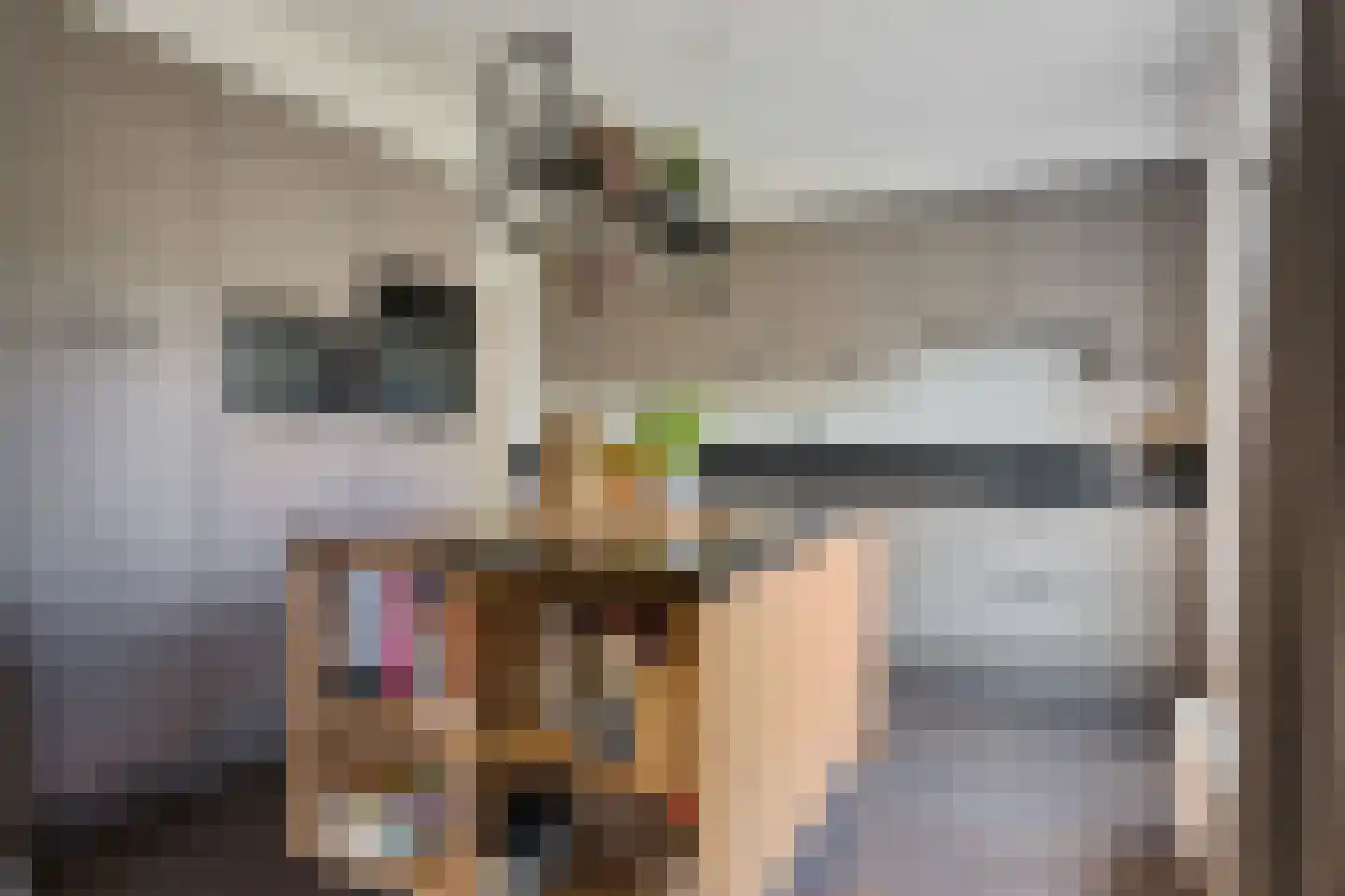 Bosrand 7 Exloo thumbnail 15