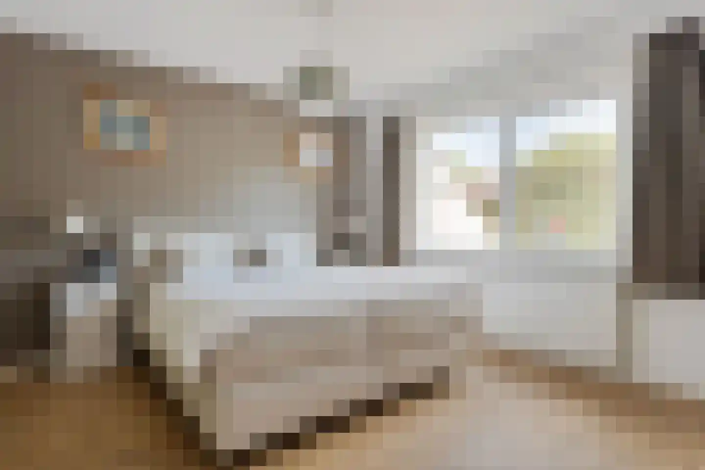 Bosrand 7 Exloo thumbnail 22