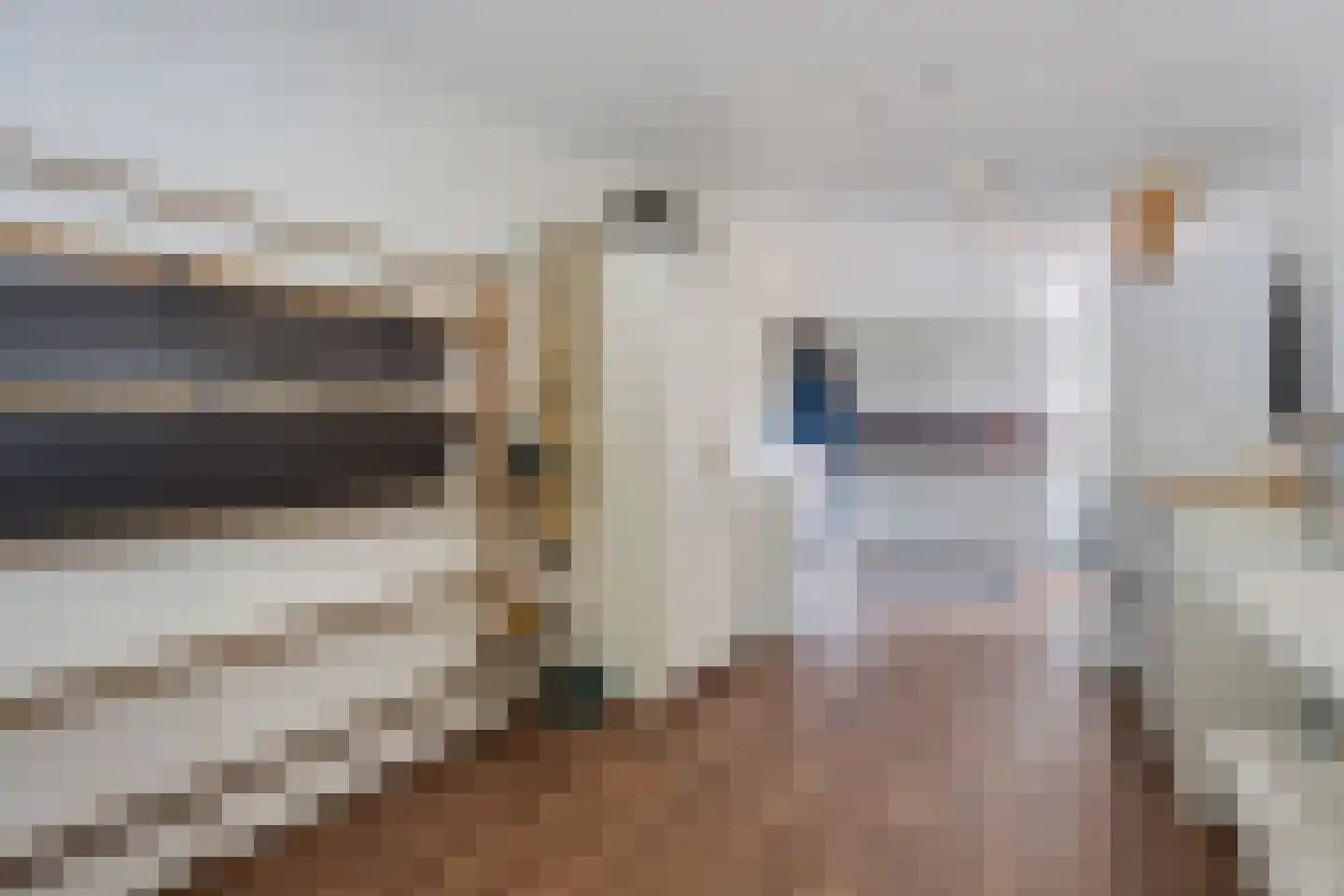 Bosrand 7 Exloo thumbnail 26