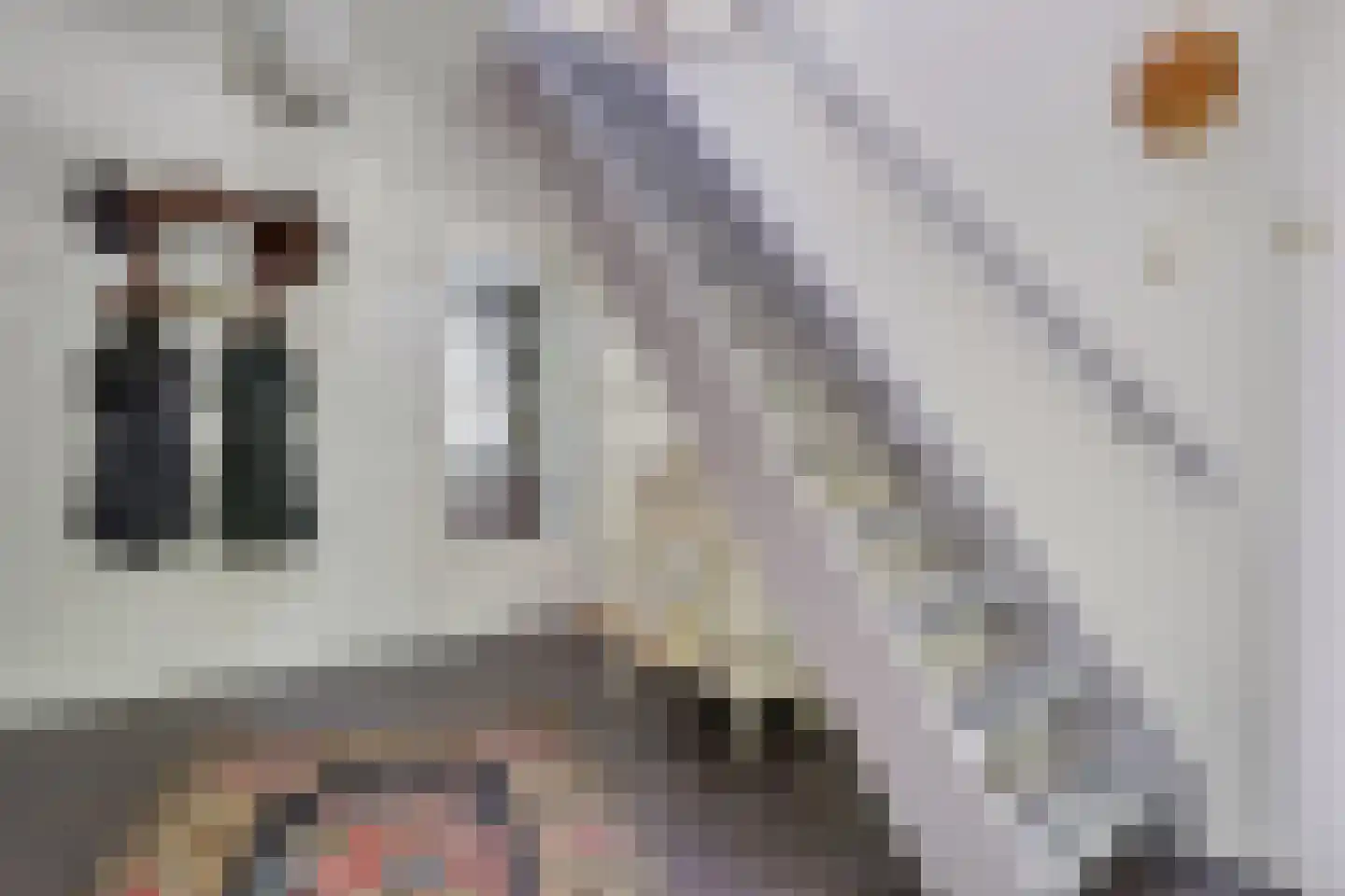 Bosrand 7 Exloo thumbnail 30