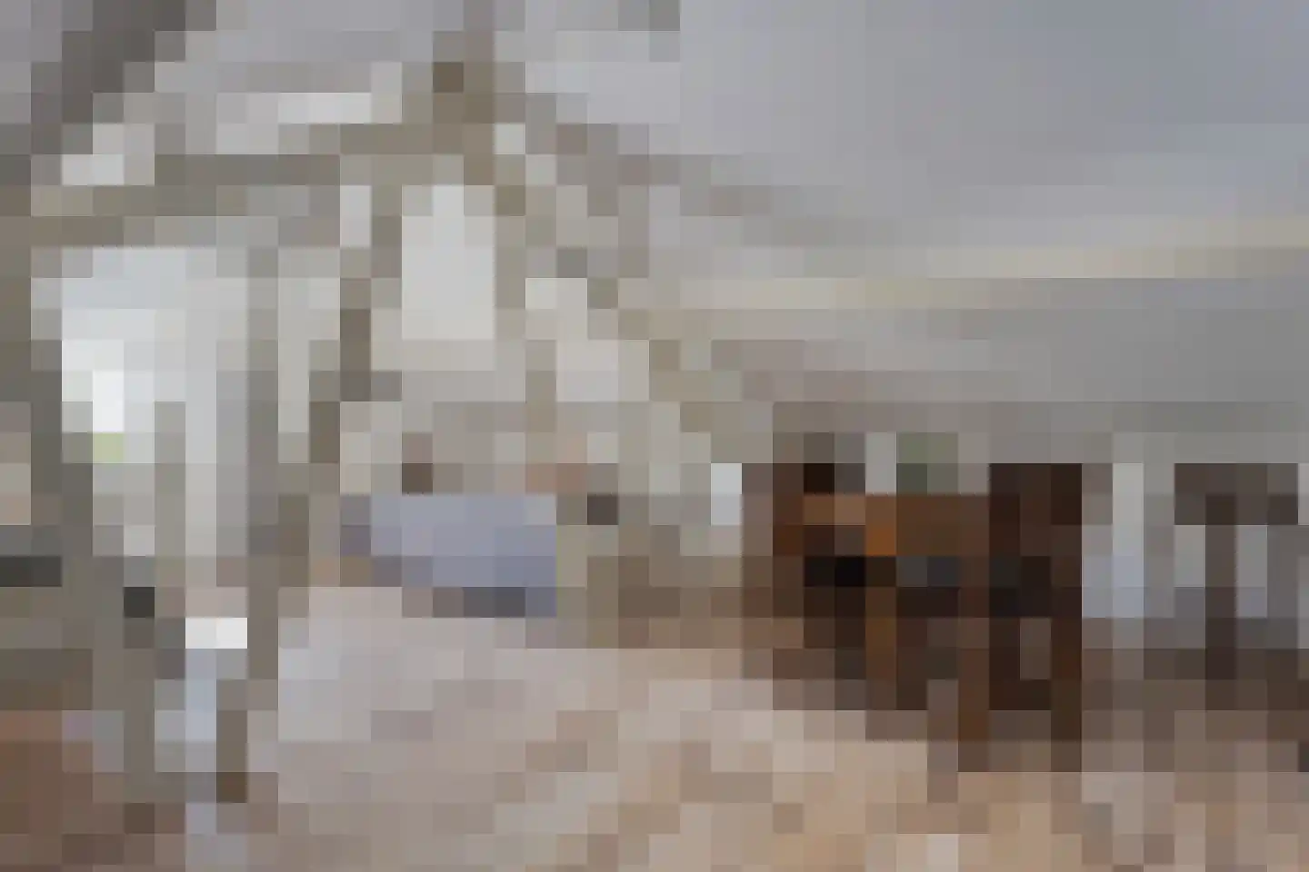 Bosrand 7 Exloo thumbnail 33