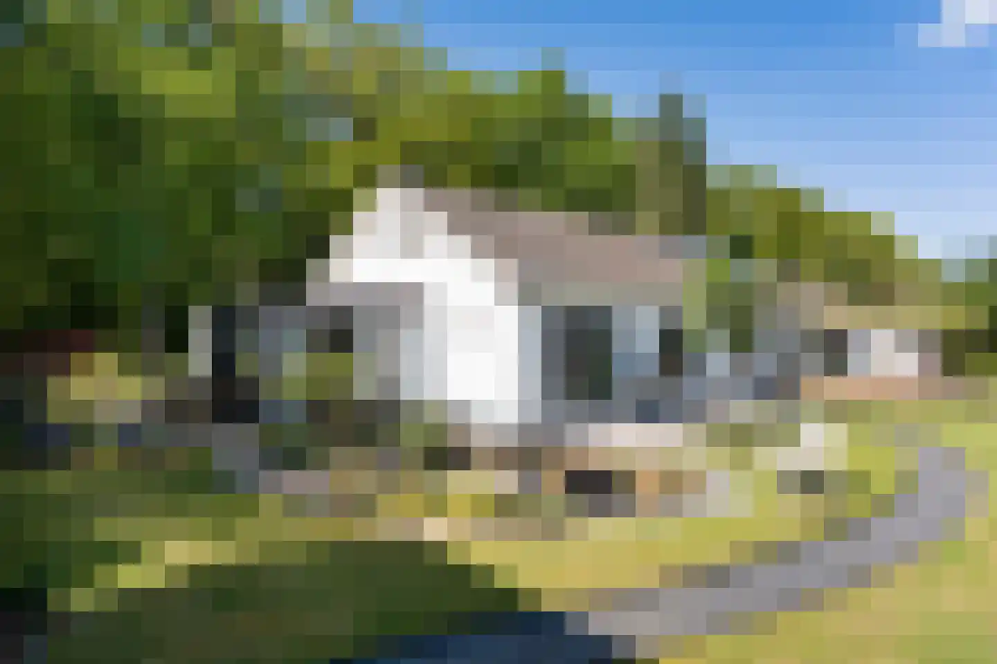 Bosrand 7 Exloo thumbnail 4