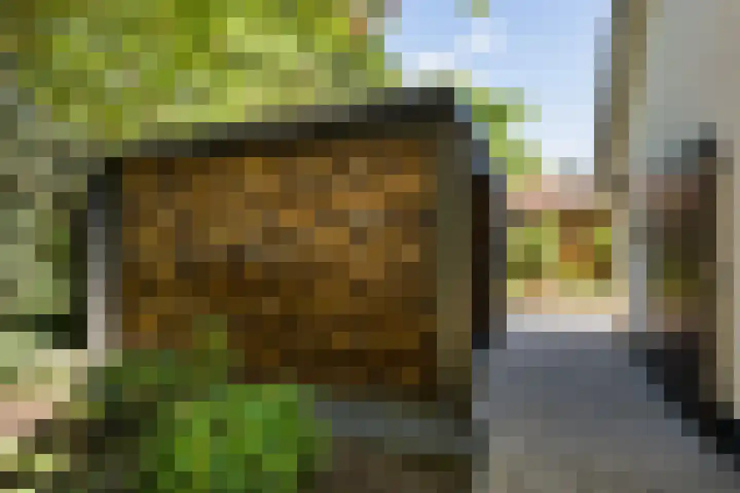 Bosrand 7 Exloo thumbnail 44