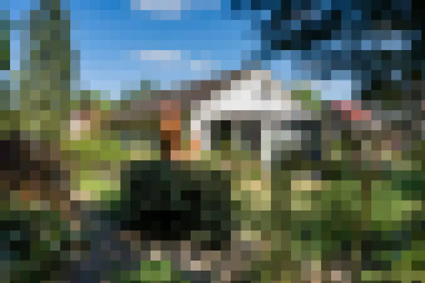 Bosrand 7 Exloo thumbnail 46