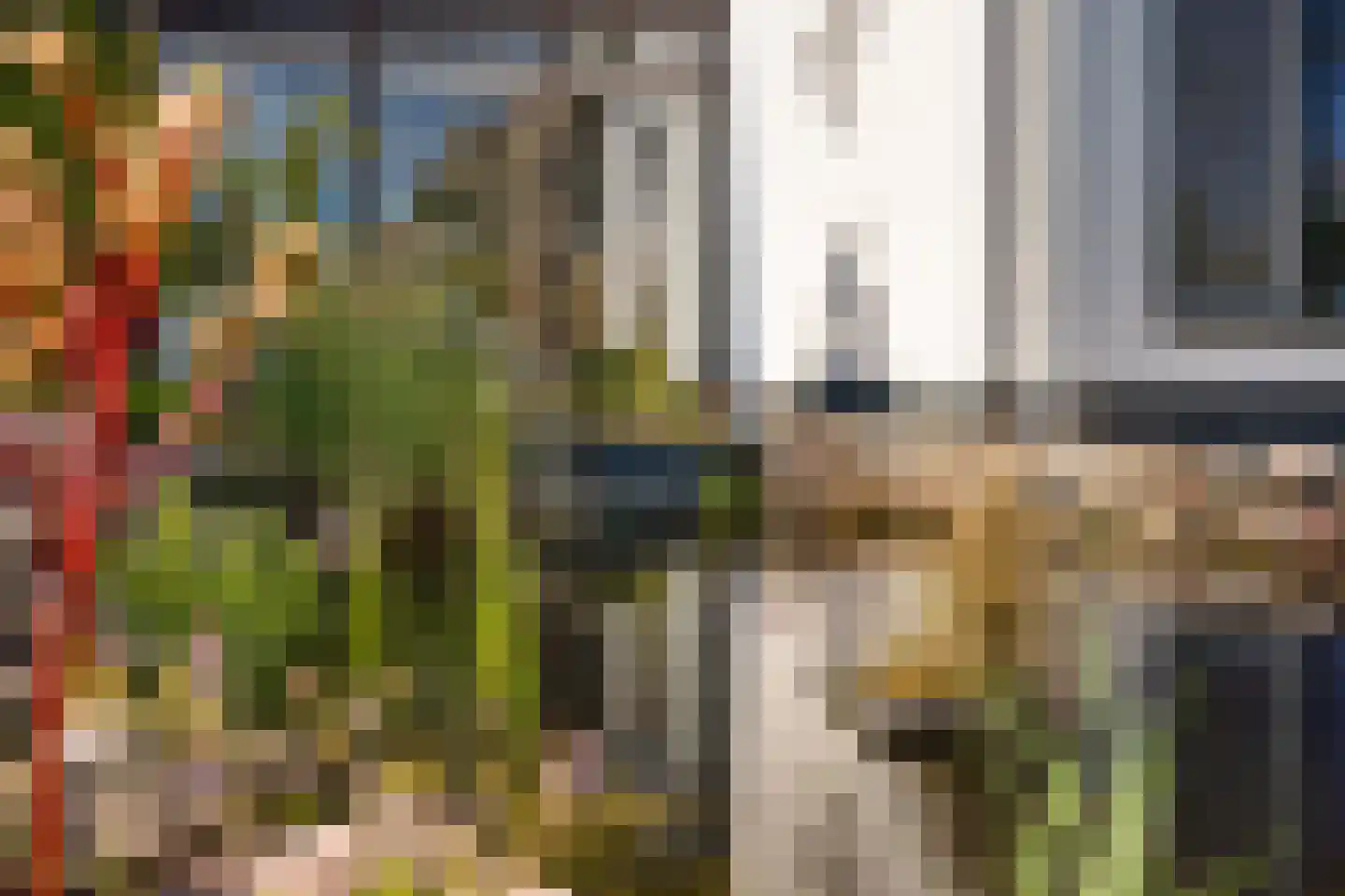 Bosrand 7 Exloo thumbnail 47