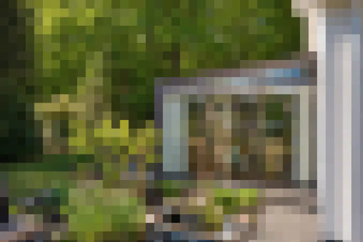 Bosrand 7 Exloo thumbnail 48
