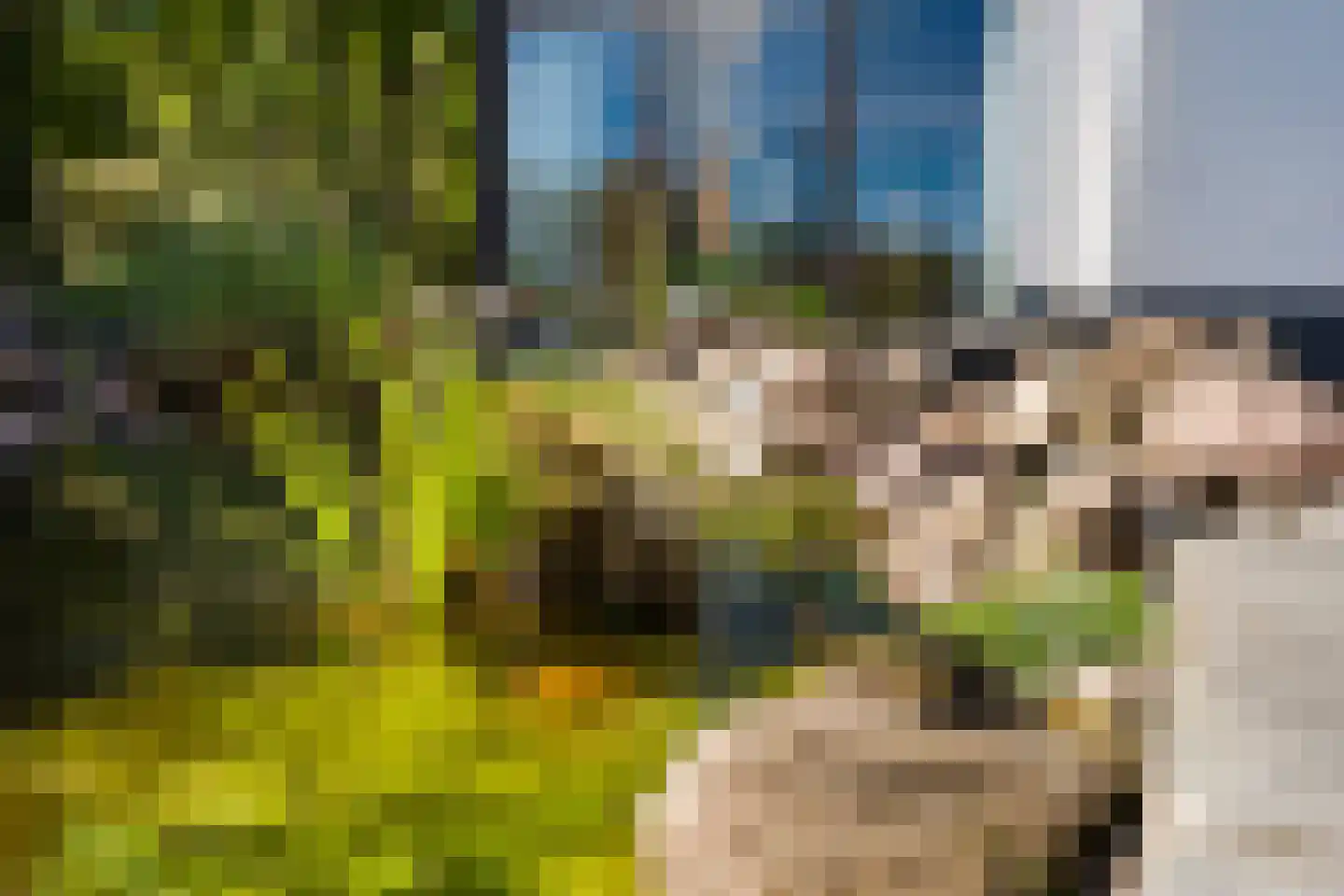Bosrand 7 Exloo thumbnail 49