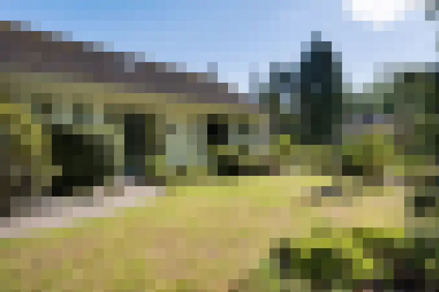 Bosrand 7 Exloo thumbnail 5