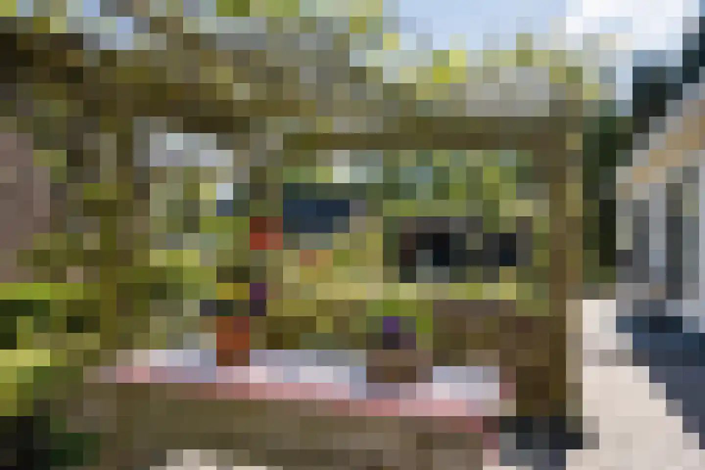 Bosrand 7 Exloo thumbnail 50
