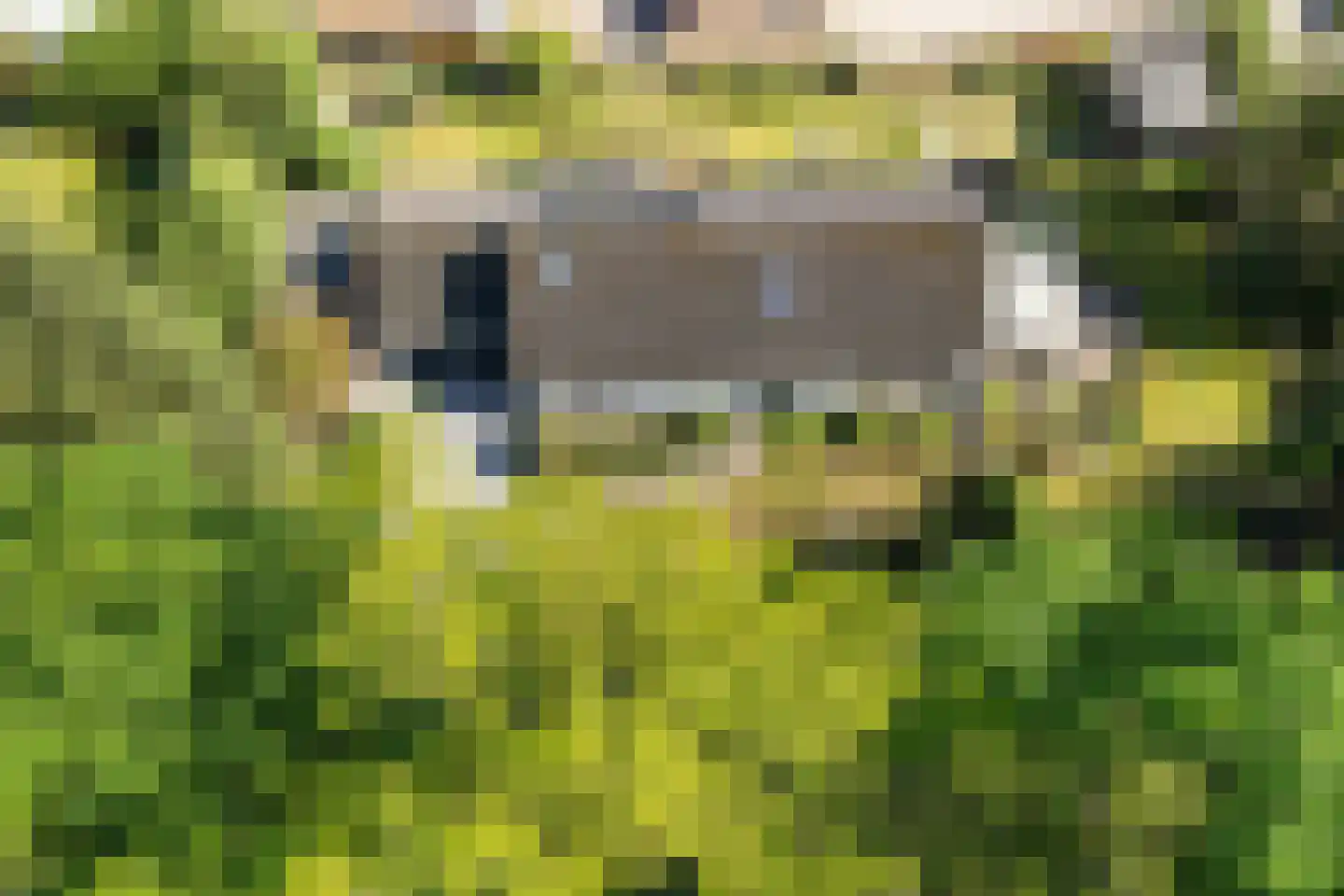 Bosrand 7 Exloo thumbnail 52