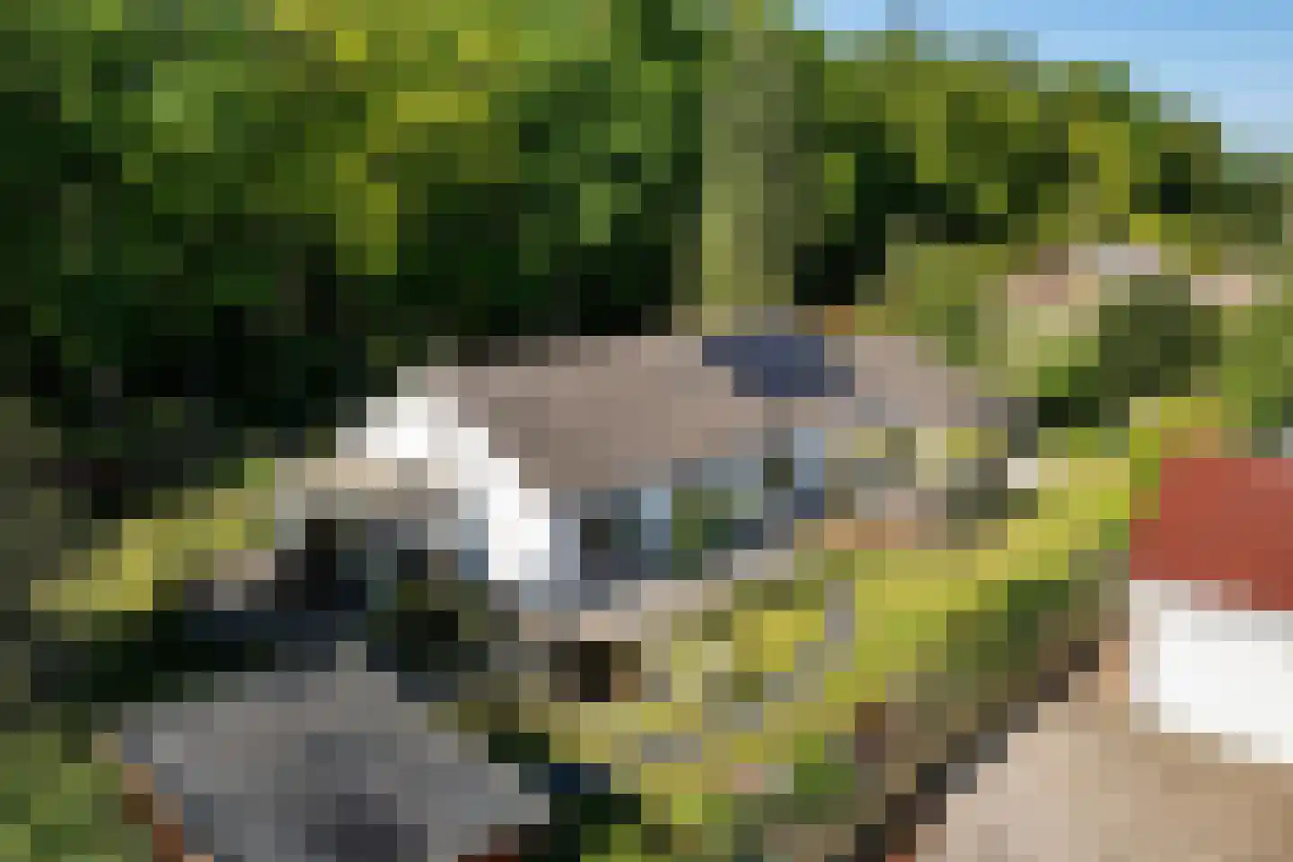 Bosrand 7 Exloo thumbnail 53
