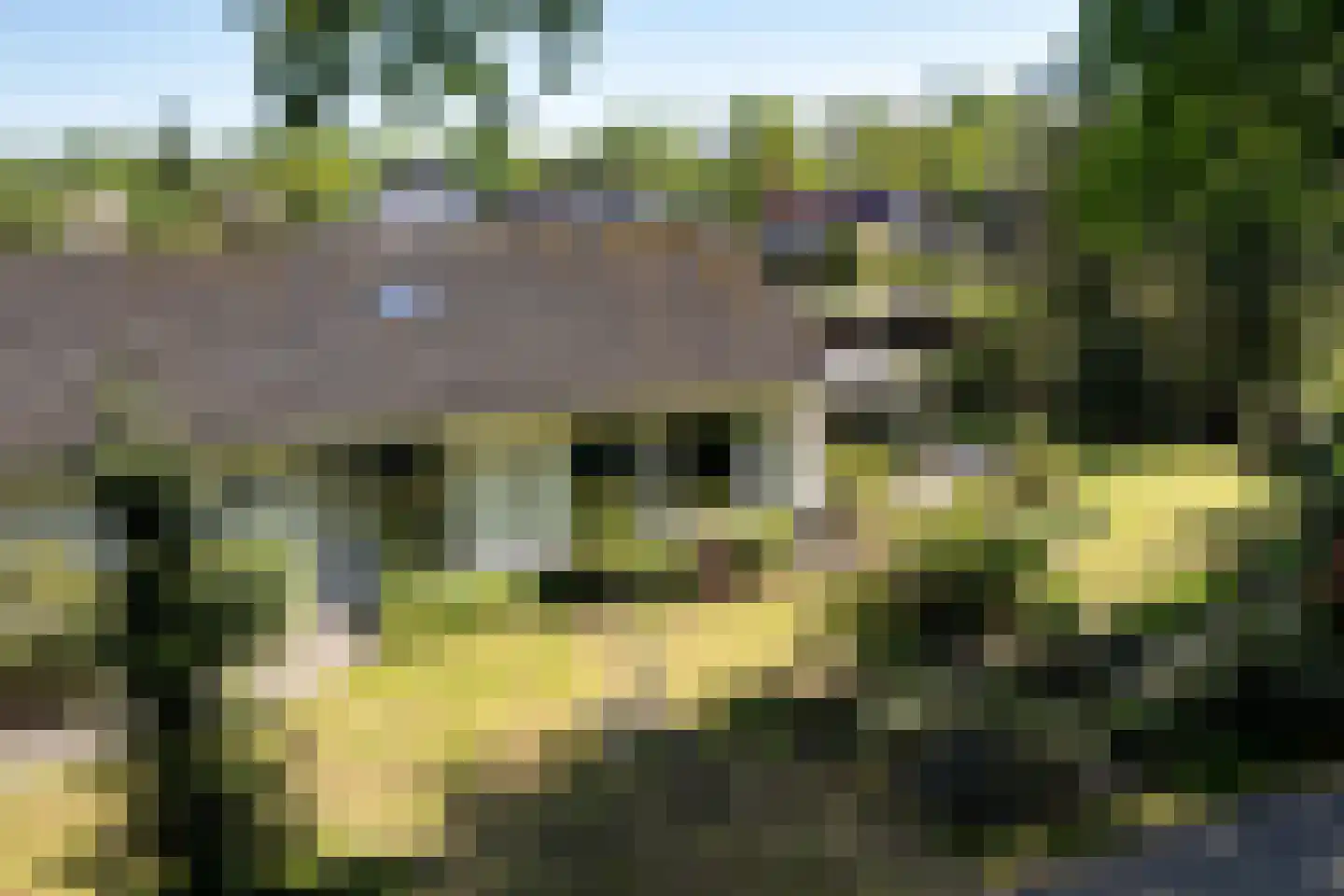 Bosrand 7 Exloo thumbnail 54
