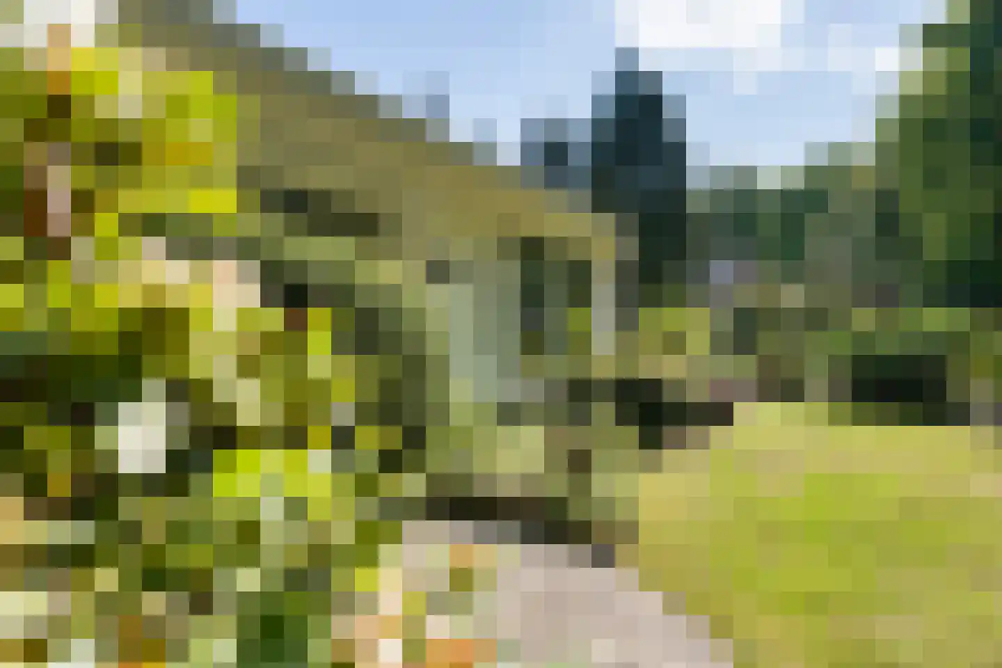 Bosrand 7 Exloo thumbnail 57