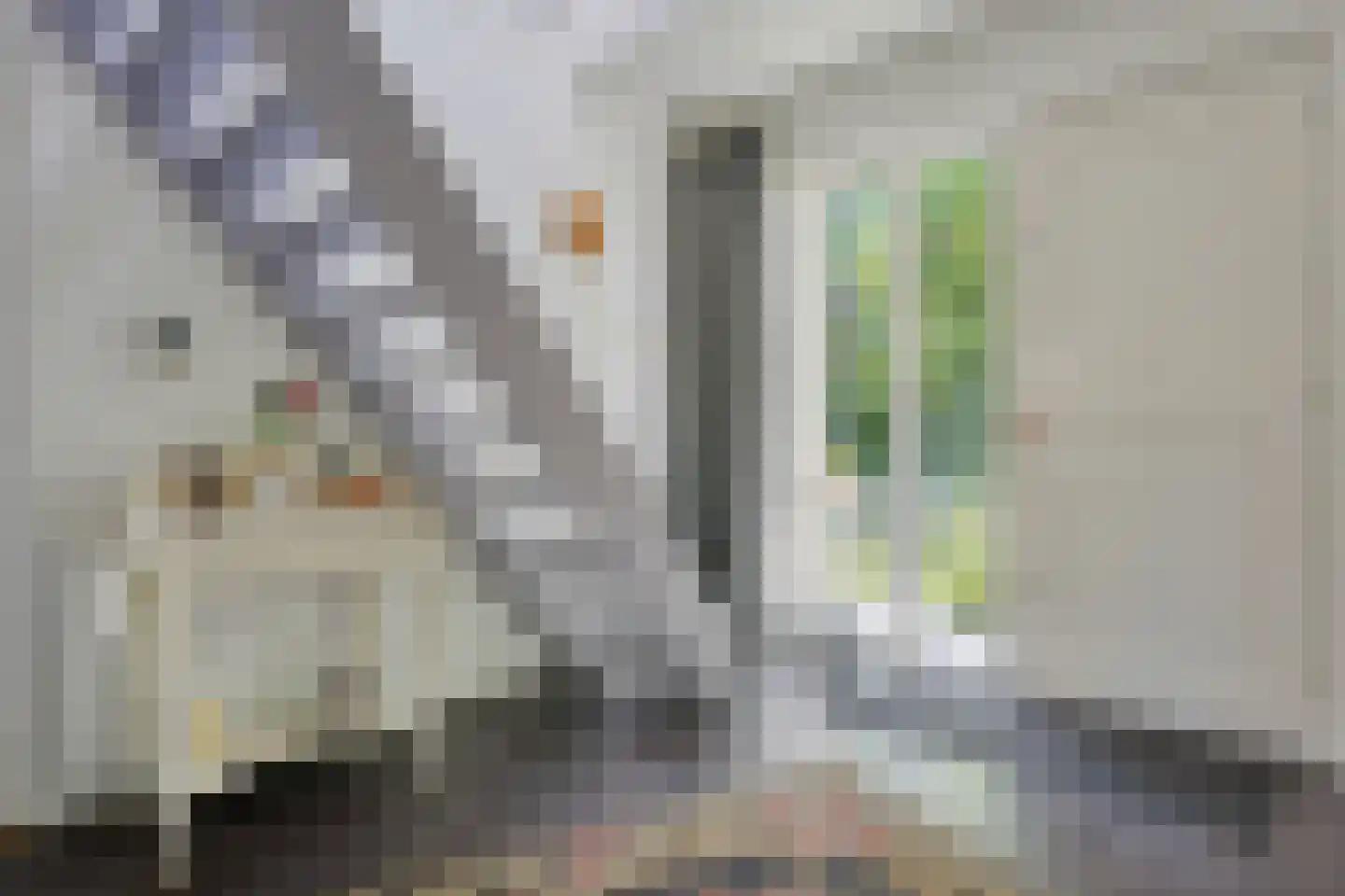 Bosrand 7 Exloo thumbnail 7
