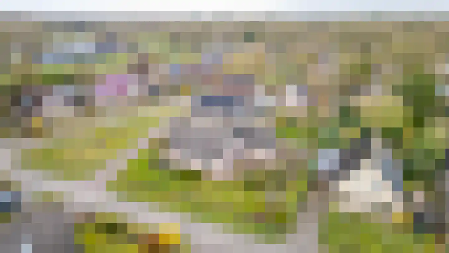 Bosrand 7 Meppen thumbnail 10