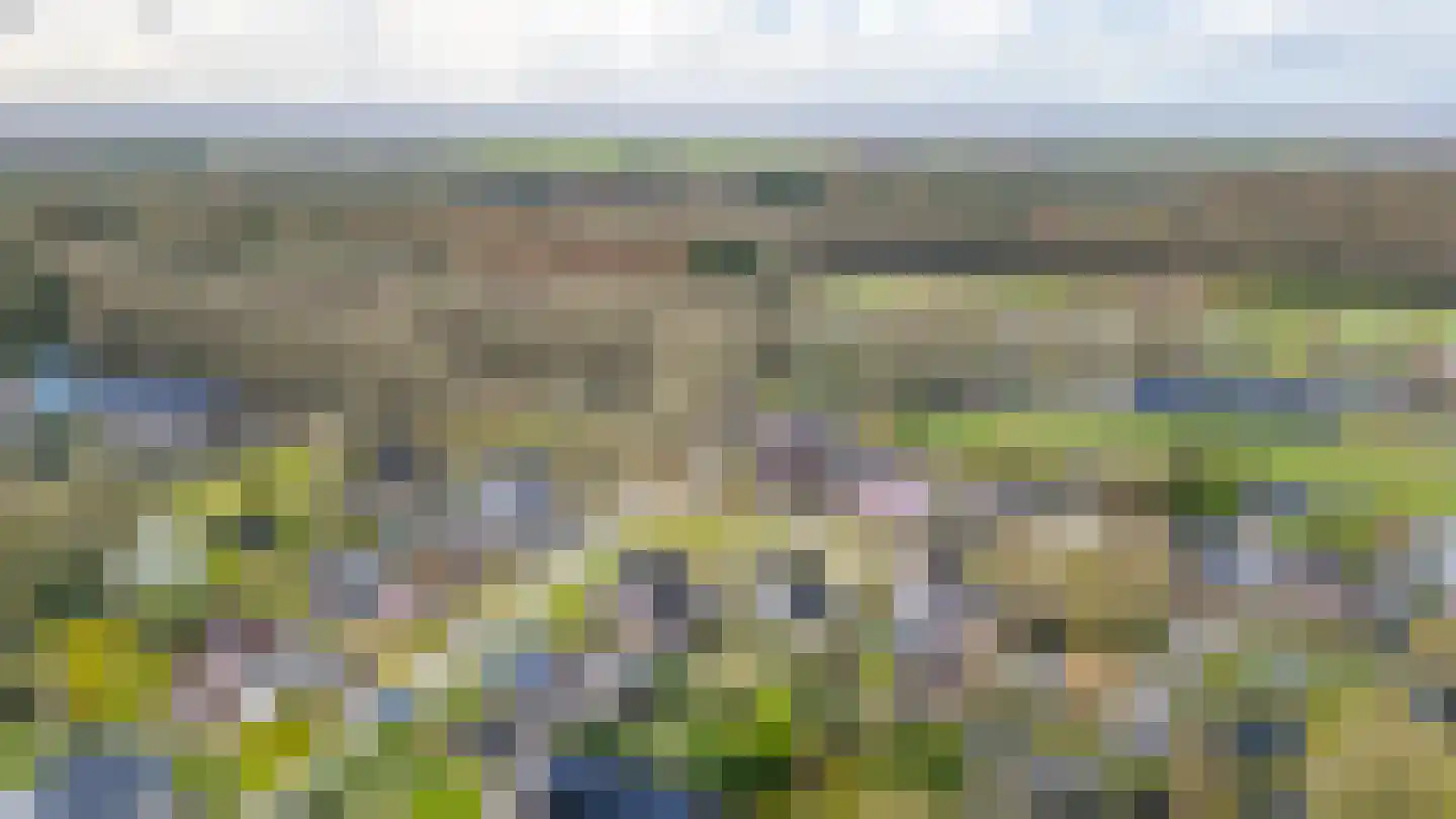 Bosrand 7 Meppen thumbnail 12