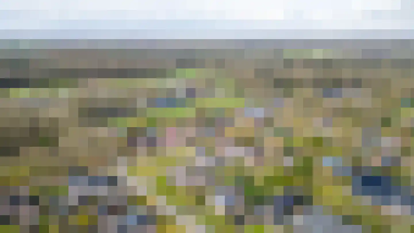 Bosrand 7 Meppen thumbnail 13