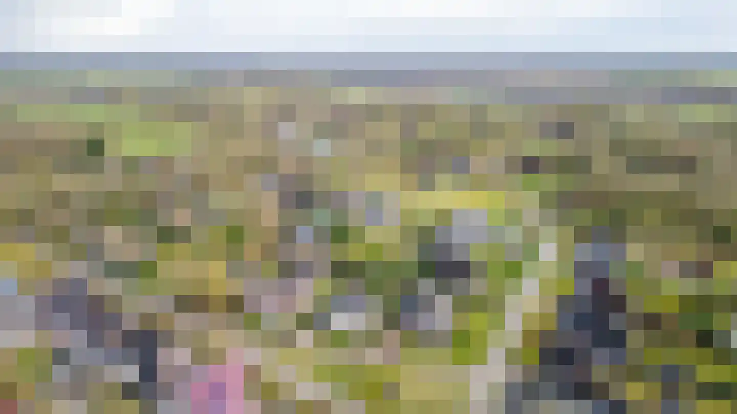 Bosrand 7 Meppen thumbnail 14