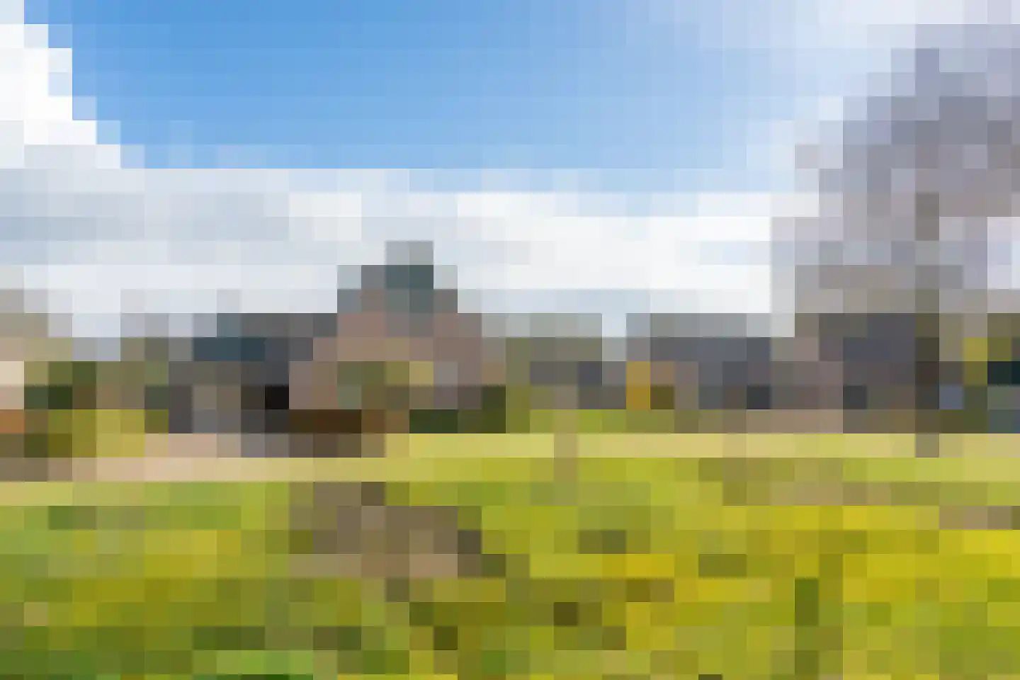 Bosrand 7 Meppen thumbnail 19