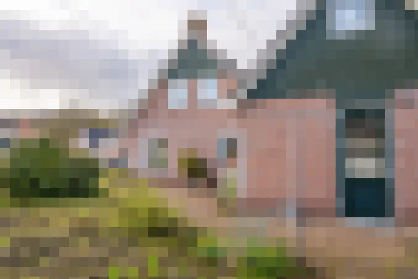 Bosrand 7 Meppen thumbnail 30
