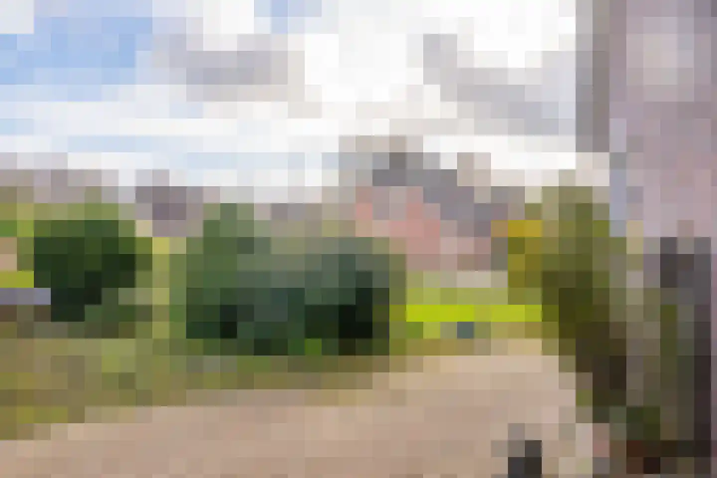 Bosrand 7 Meppen thumbnail 31