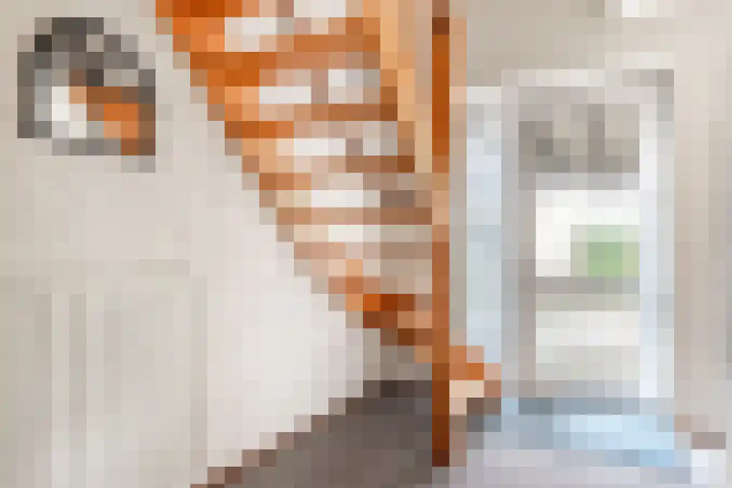 Bosrand 7 Meppen thumbnail 32