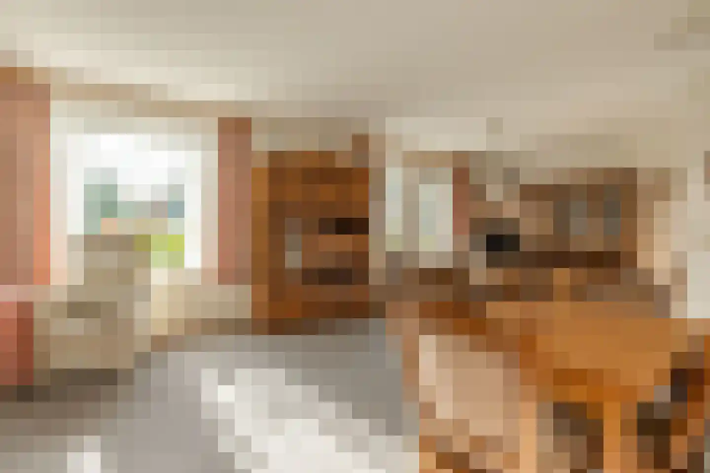 Bosrand 7 Meppen thumbnail 37