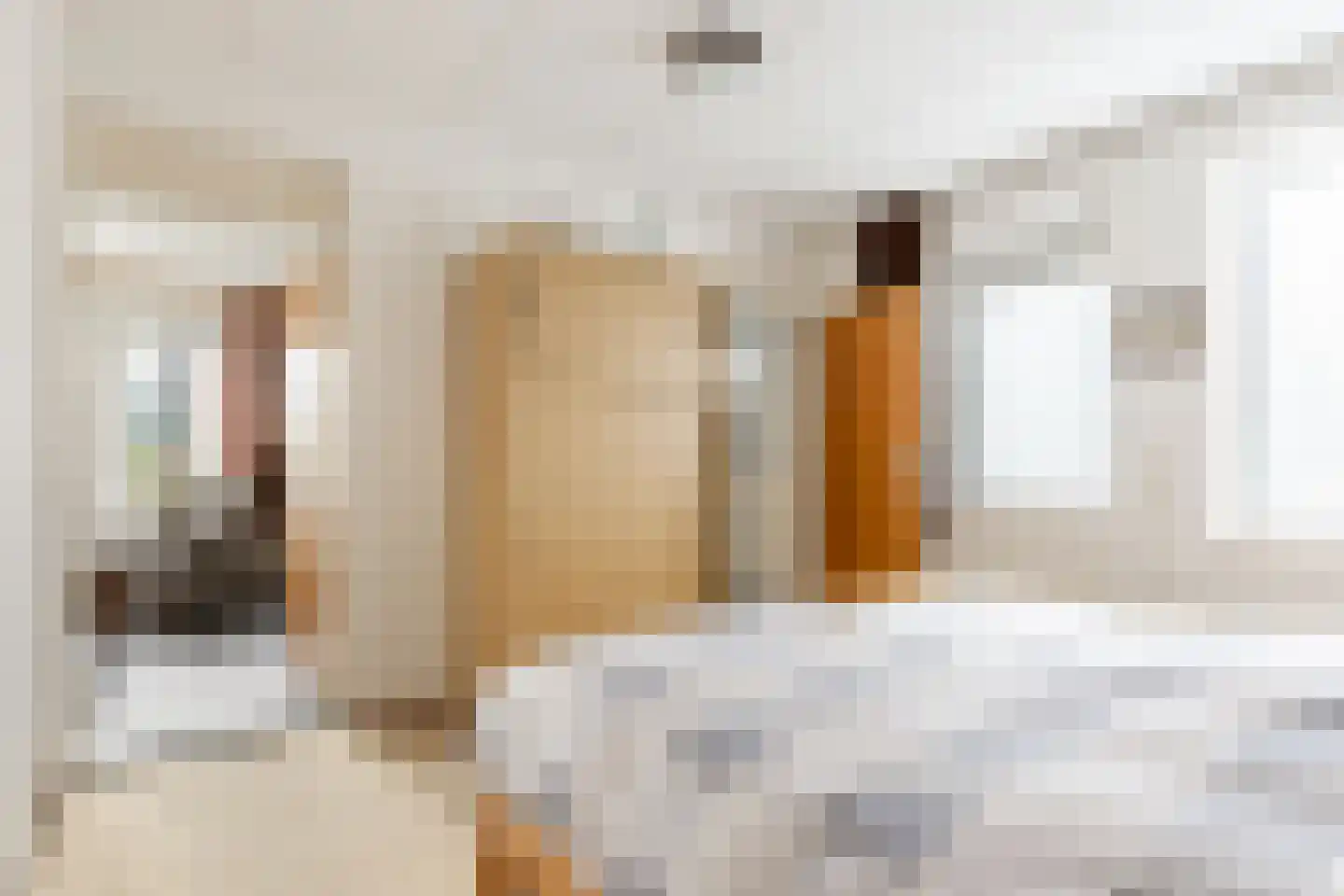 Bosrand 7 Meppen thumbnail 4