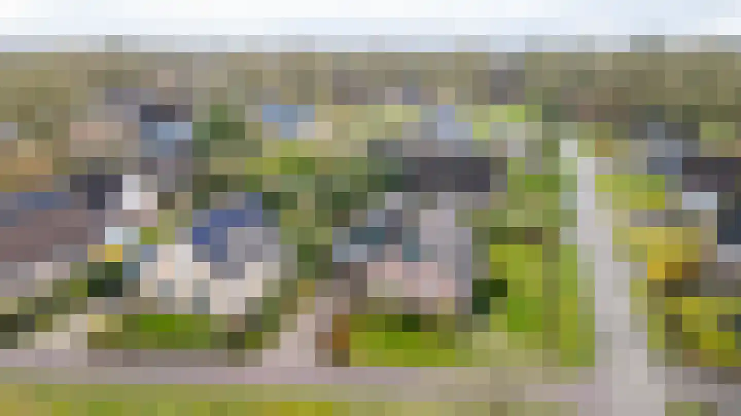 Bosrand 7 Meppen thumbnail 6