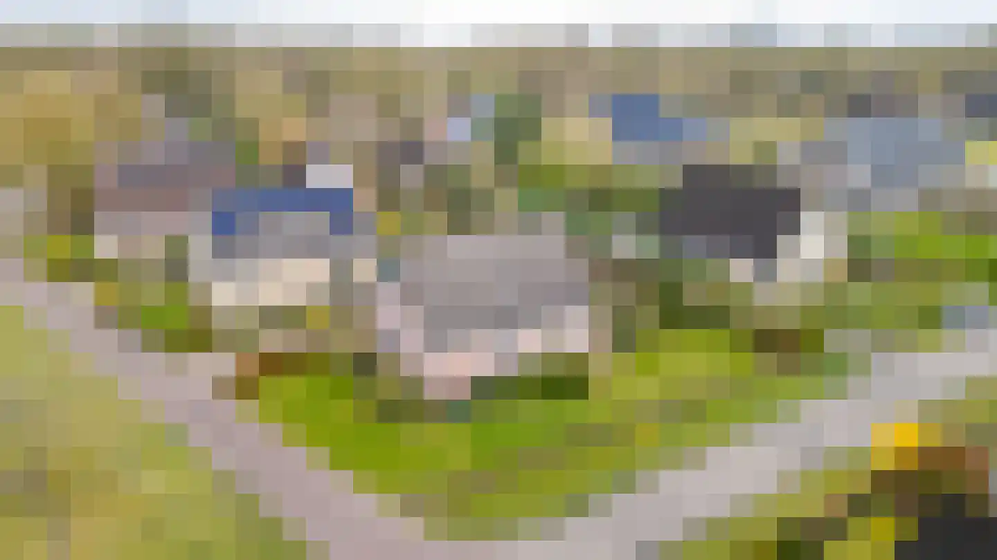 Bosrand 7 Meppen thumbnail 8