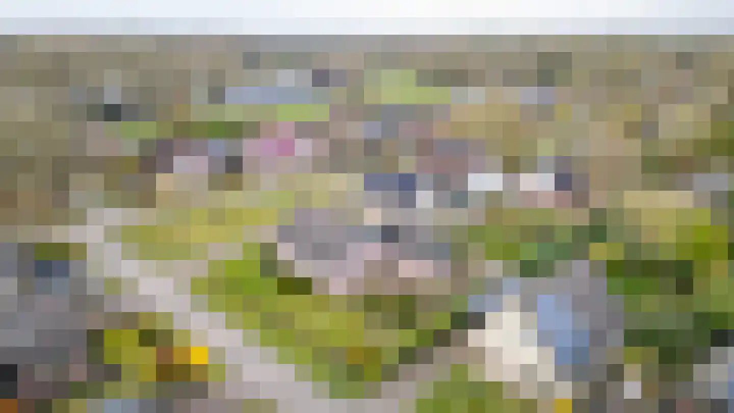 Bosrand 7 Meppen thumbnail 9