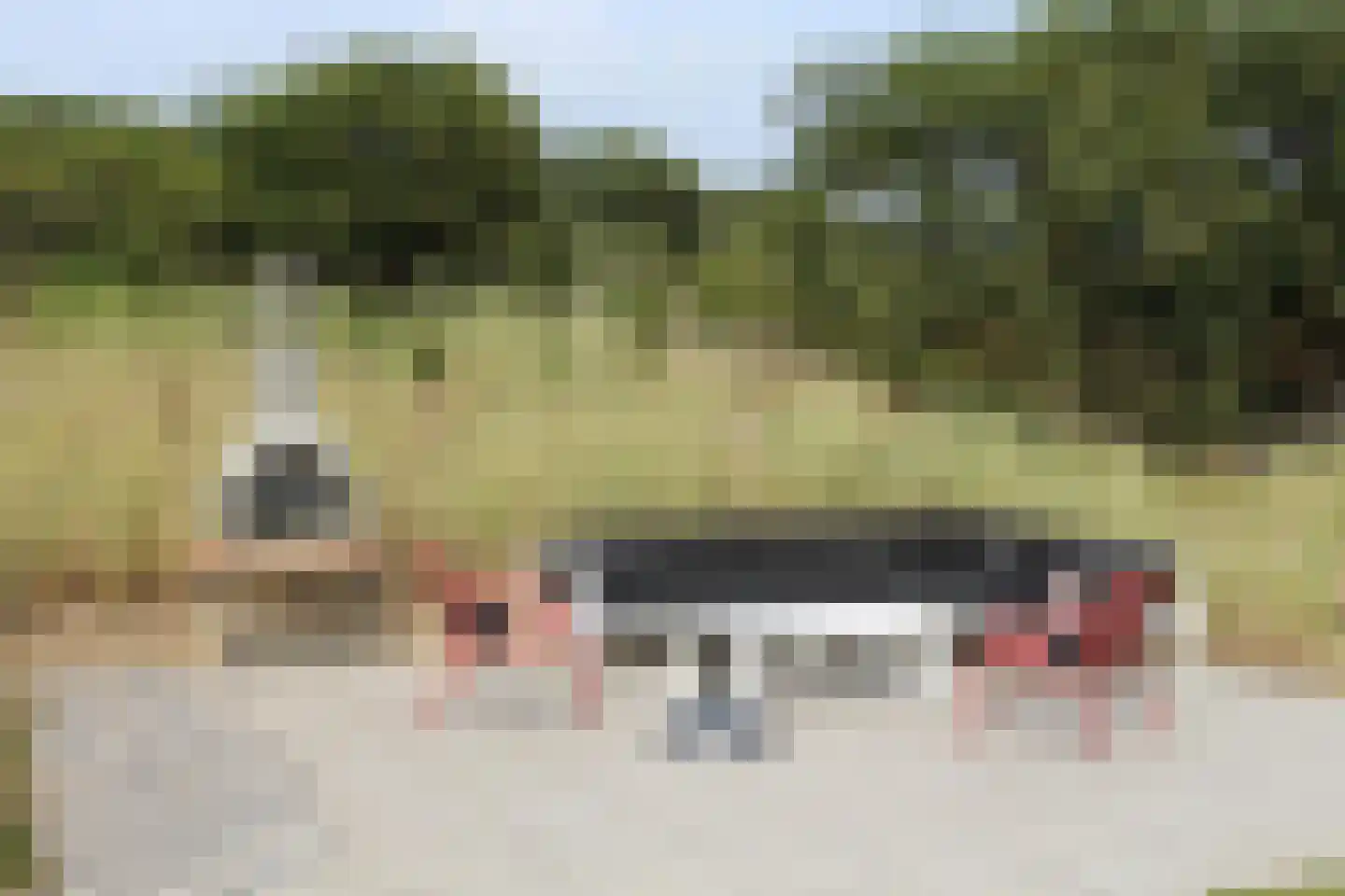 Bosrand 74 Buren thumbnail 21