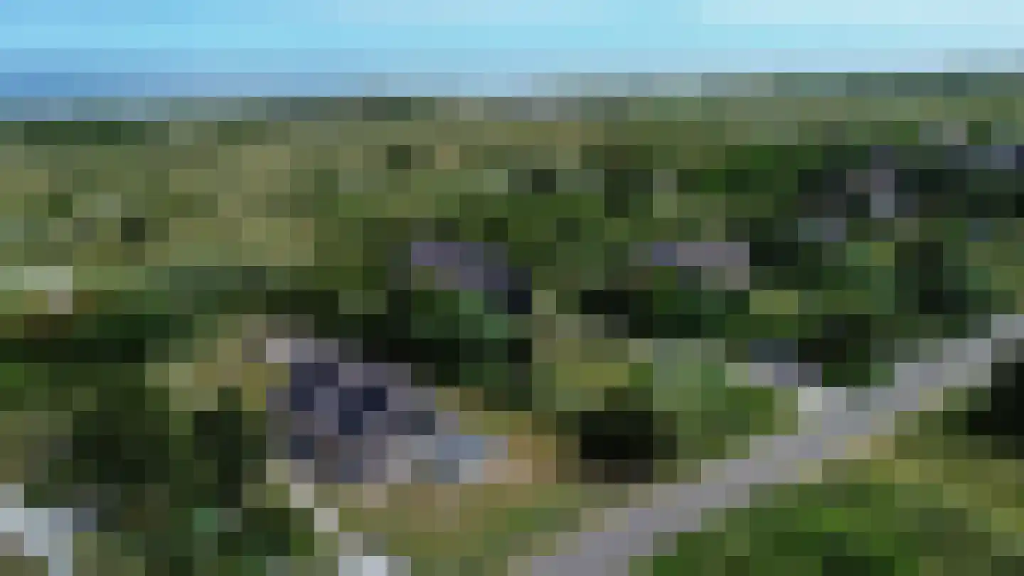 Bosrand 74 Buren thumbnail 22