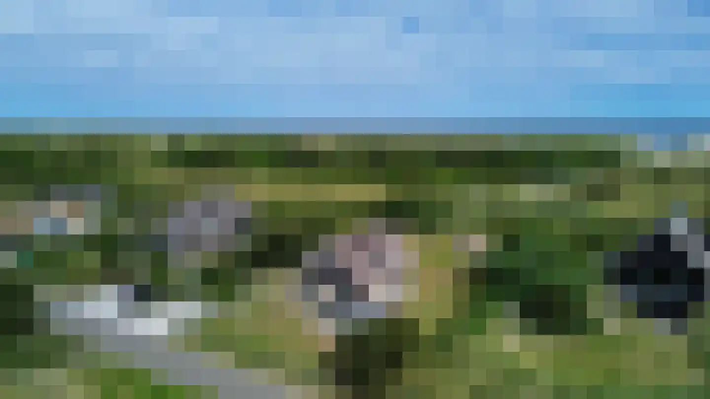 Bosrand 74 Buren thumbnail 23