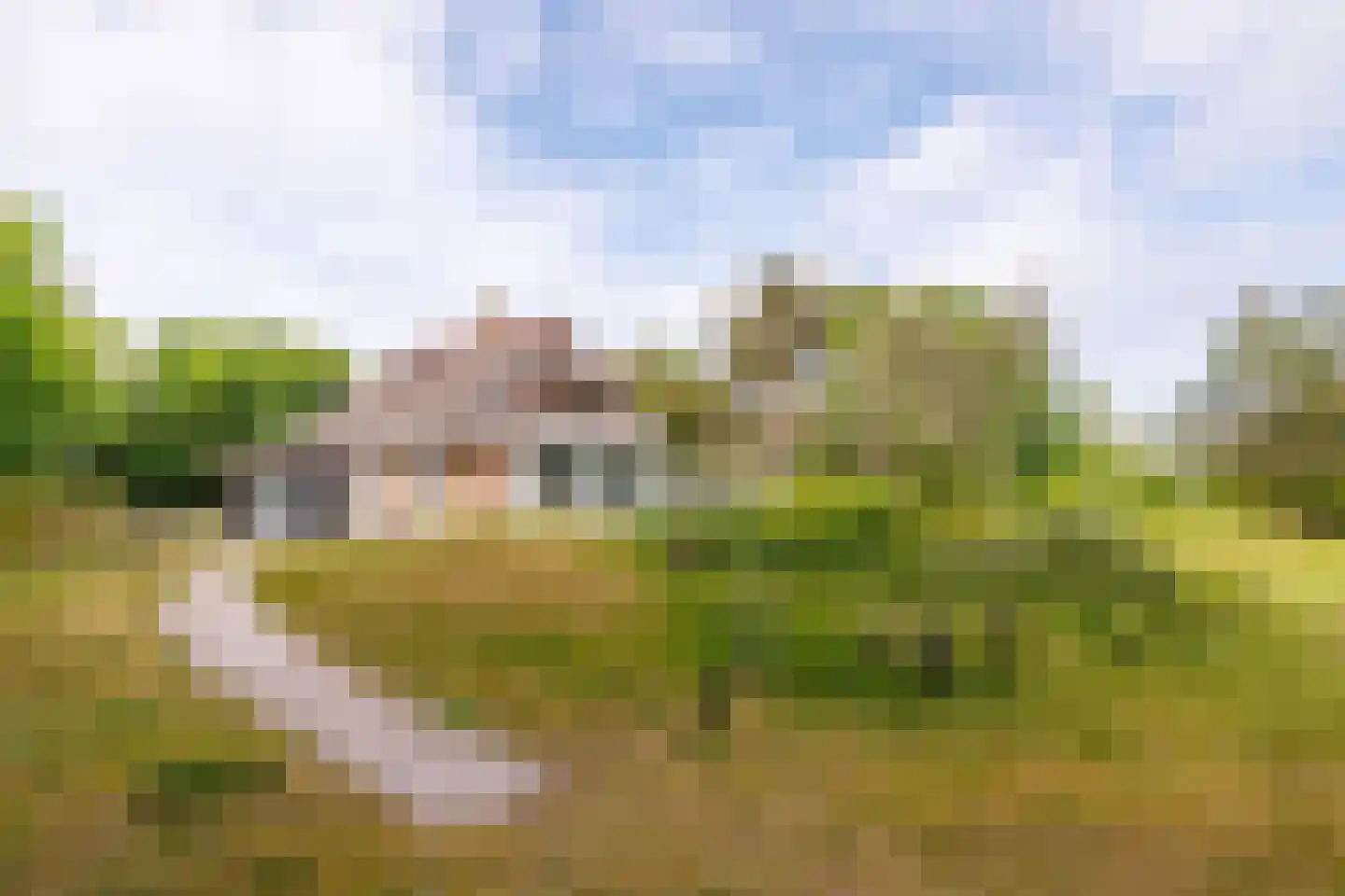 Bosrand 85 Buren thumbnail 29