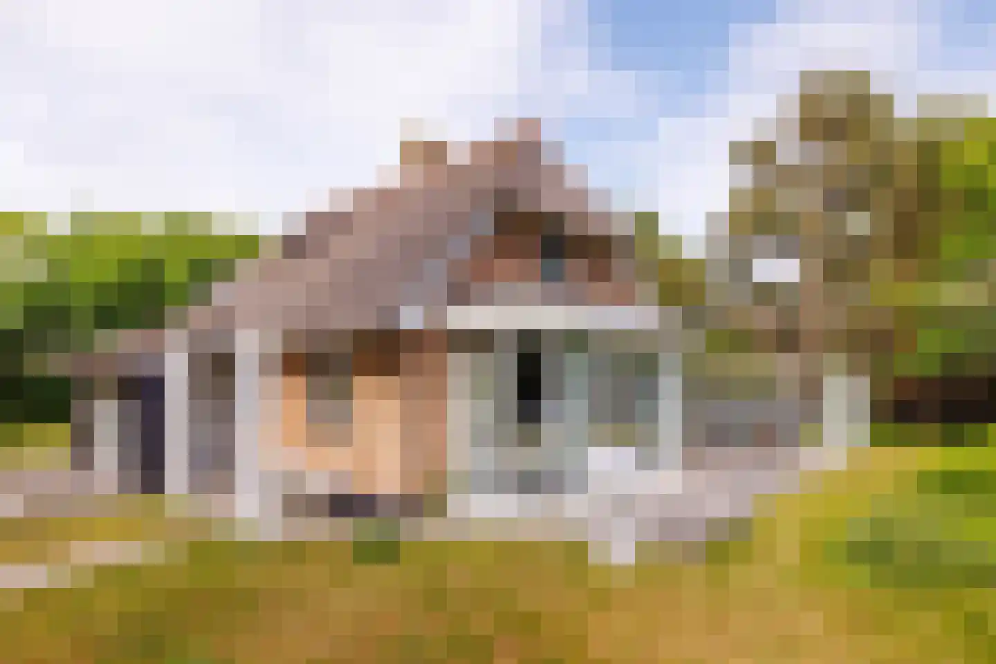 Bosrand 85 Buren thumbnail 31