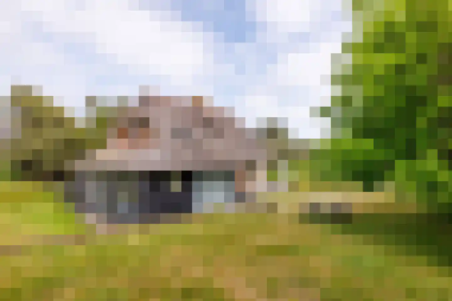 Bosrand 85 Buren thumbnail 32
