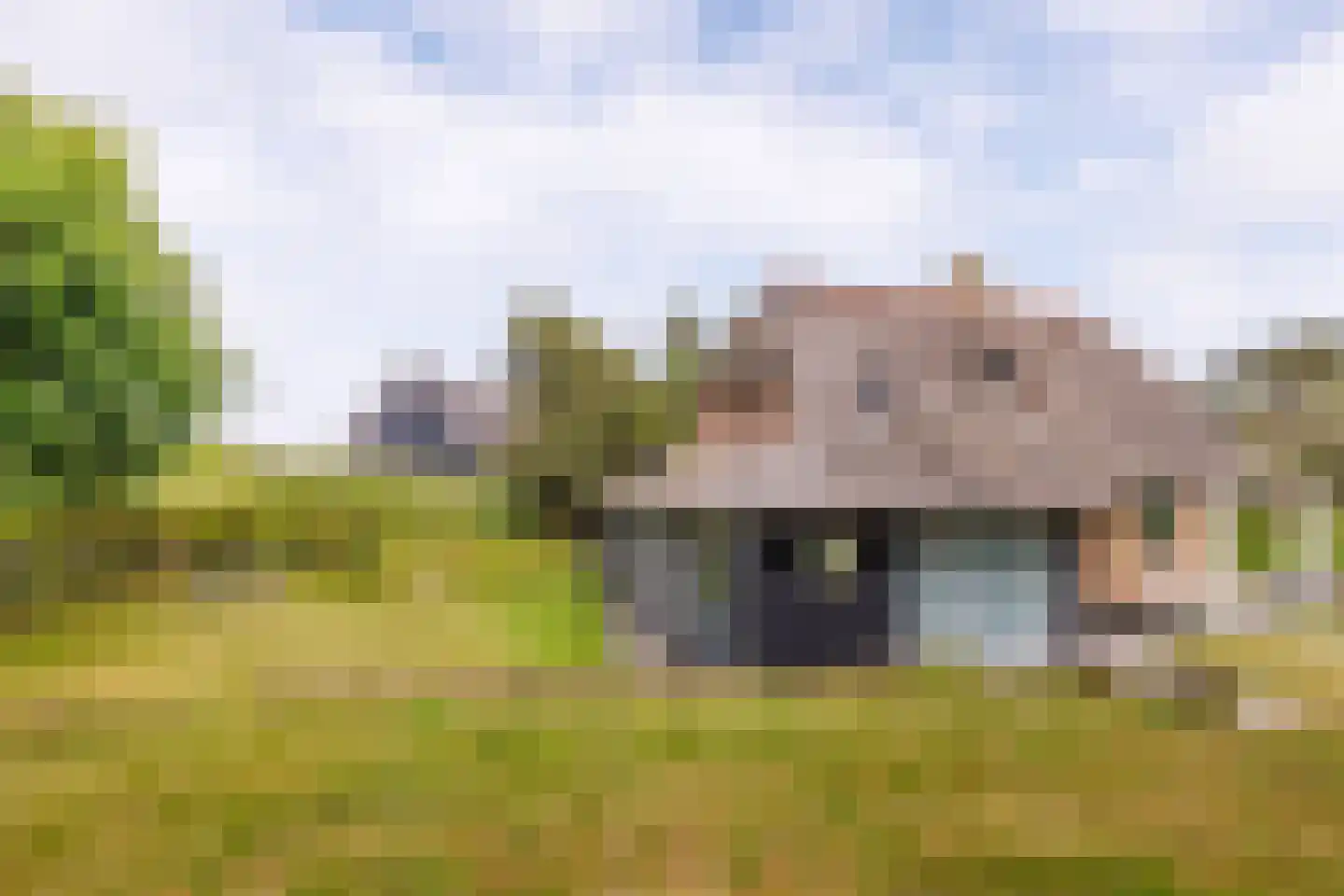 Bosrand 85 Buren thumbnail 33