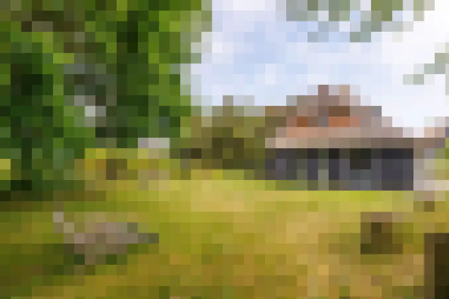 Bosrand 85 Buren thumbnail 34