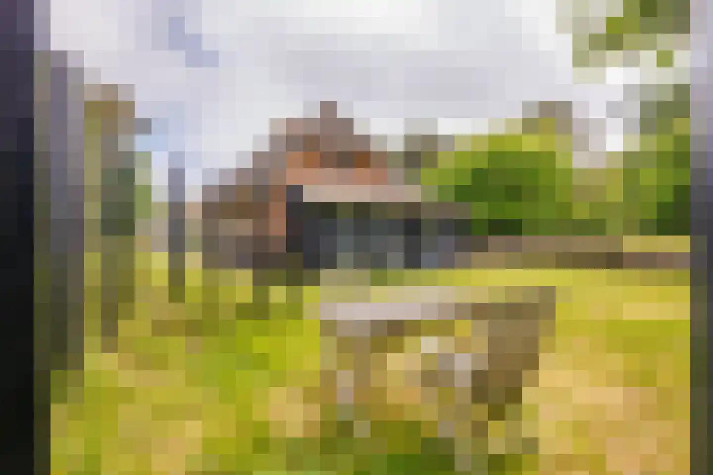 Bosrand 85 Buren thumbnail 36