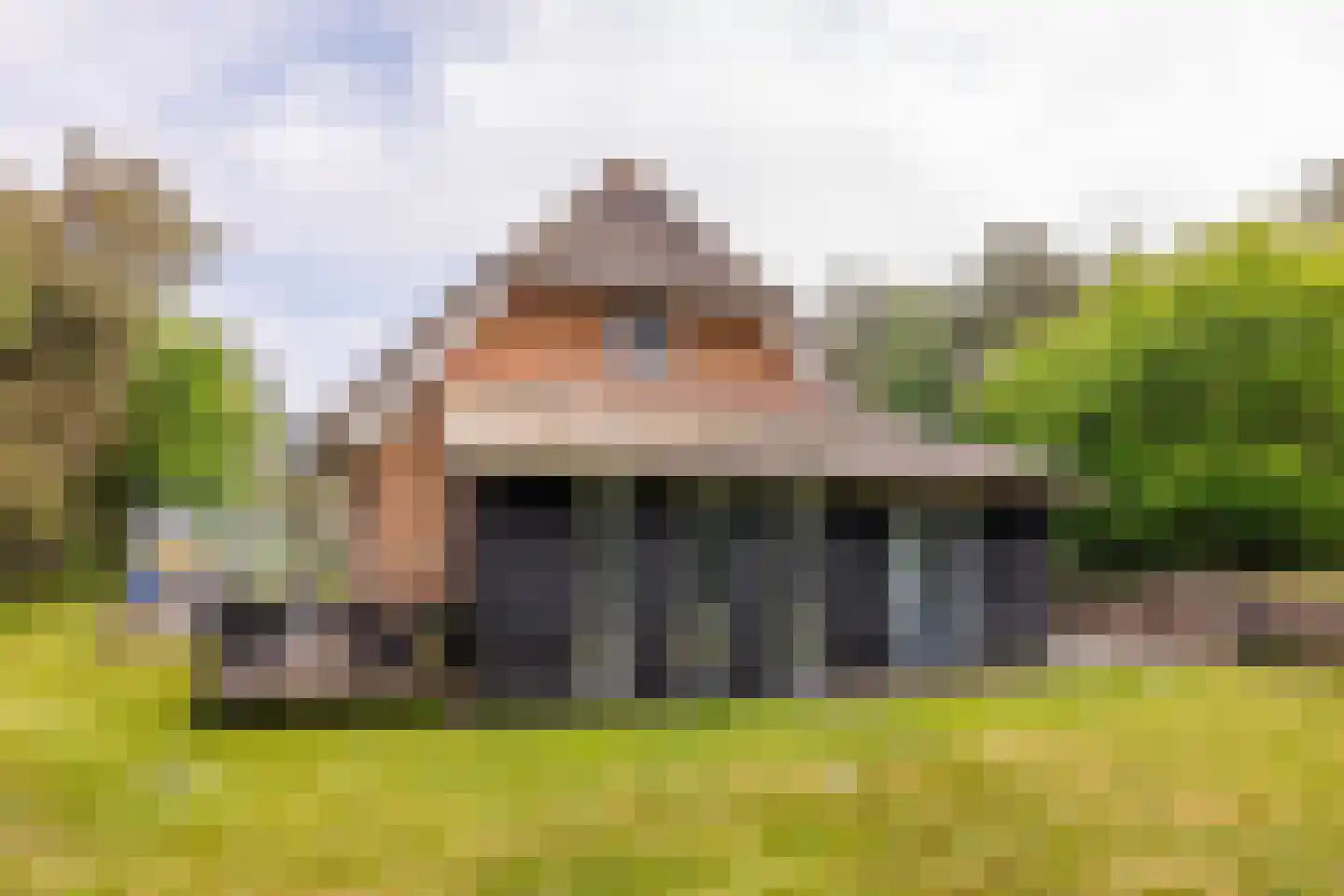Bosrand 85 Buren thumbnail 37