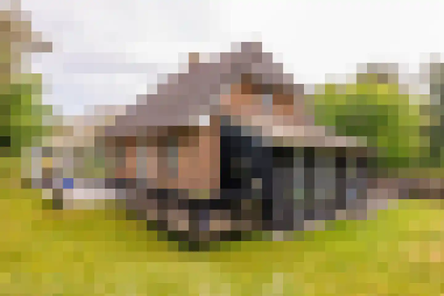 Bosrand 85 Buren thumbnail 38