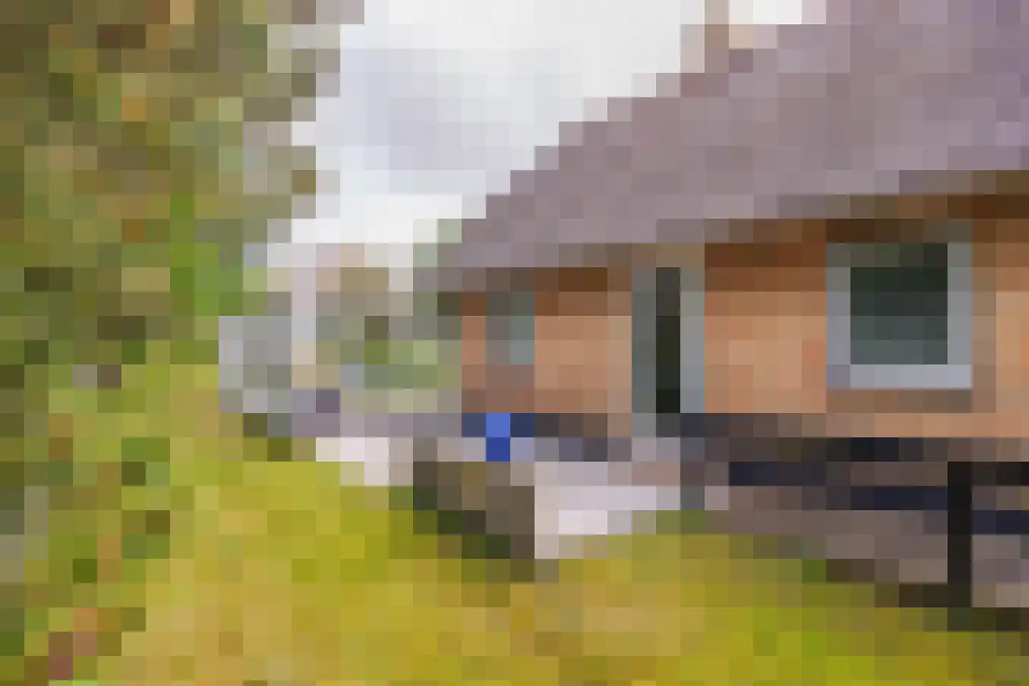 Bosrand 85 Buren thumbnail 39