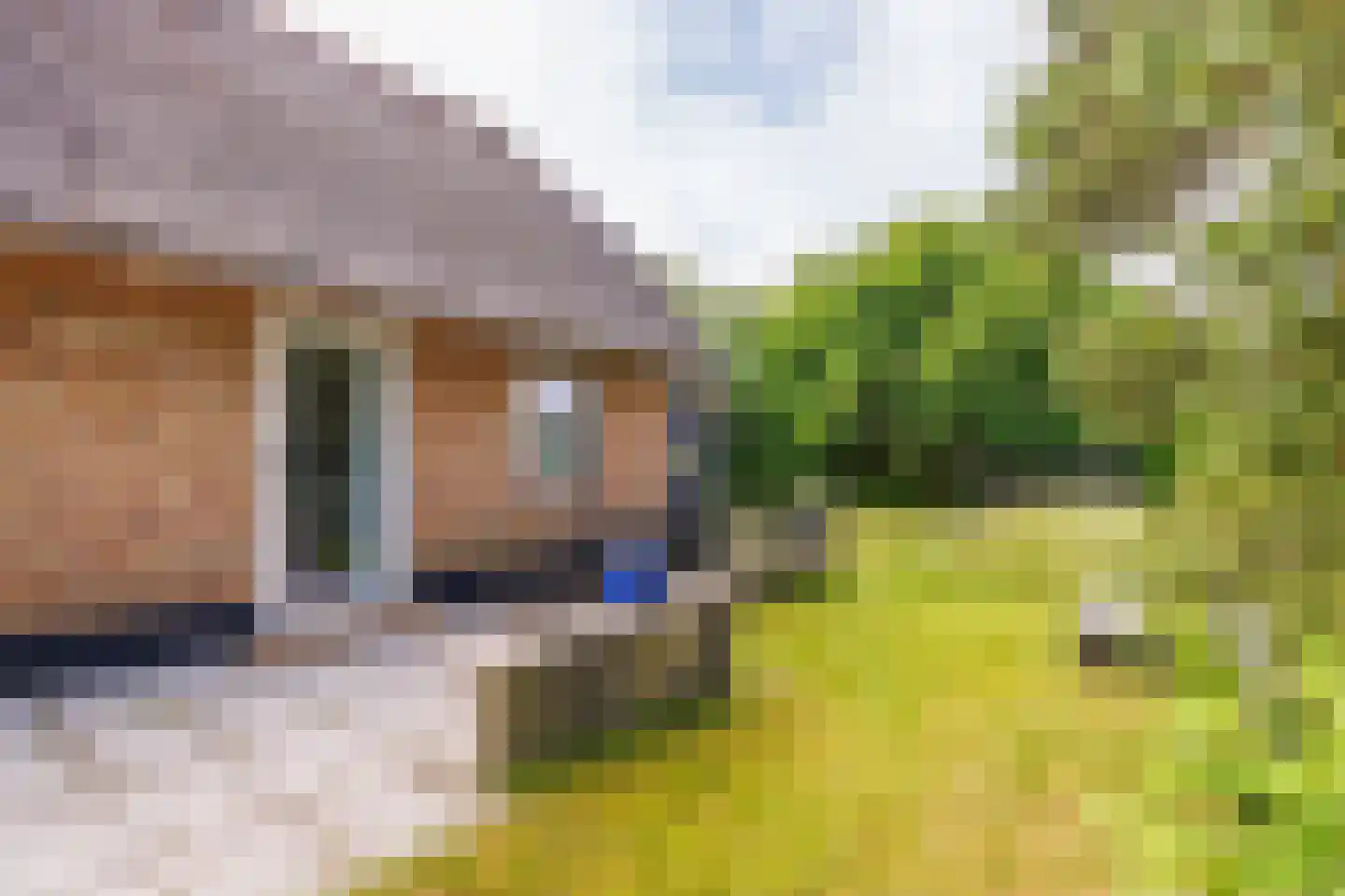 Bosrand 85 Buren thumbnail 40