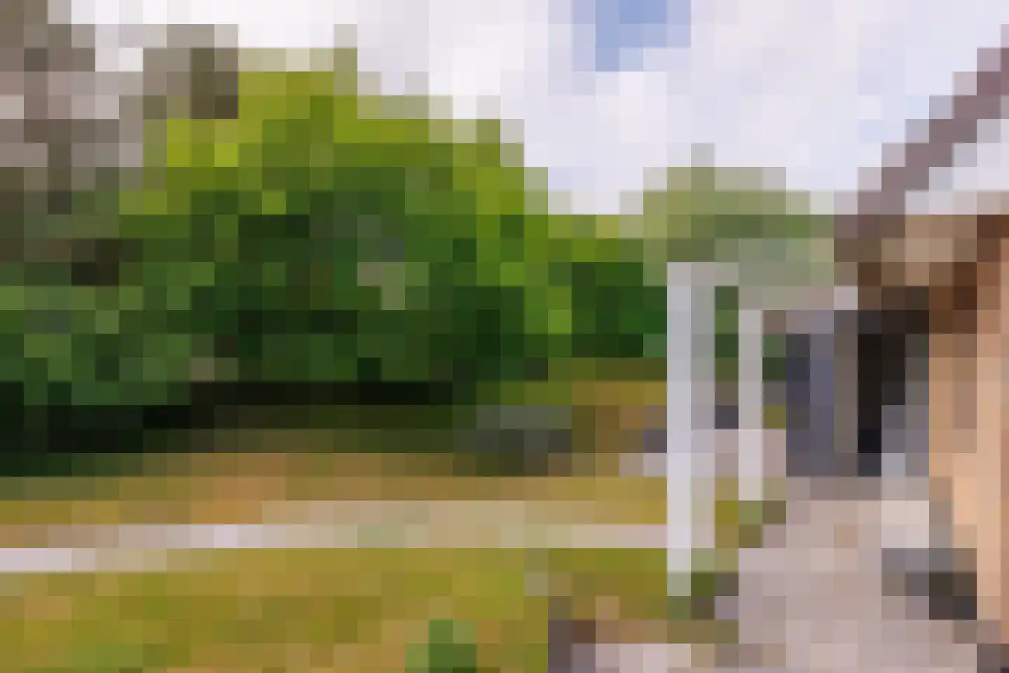 Bosrand 85 Buren thumbnail 41