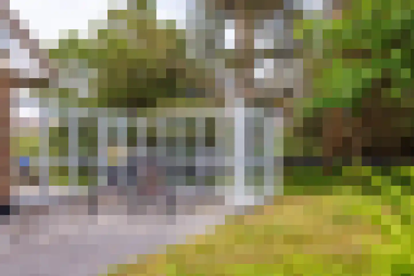 Bosrand 85 Buren thumbnail 42