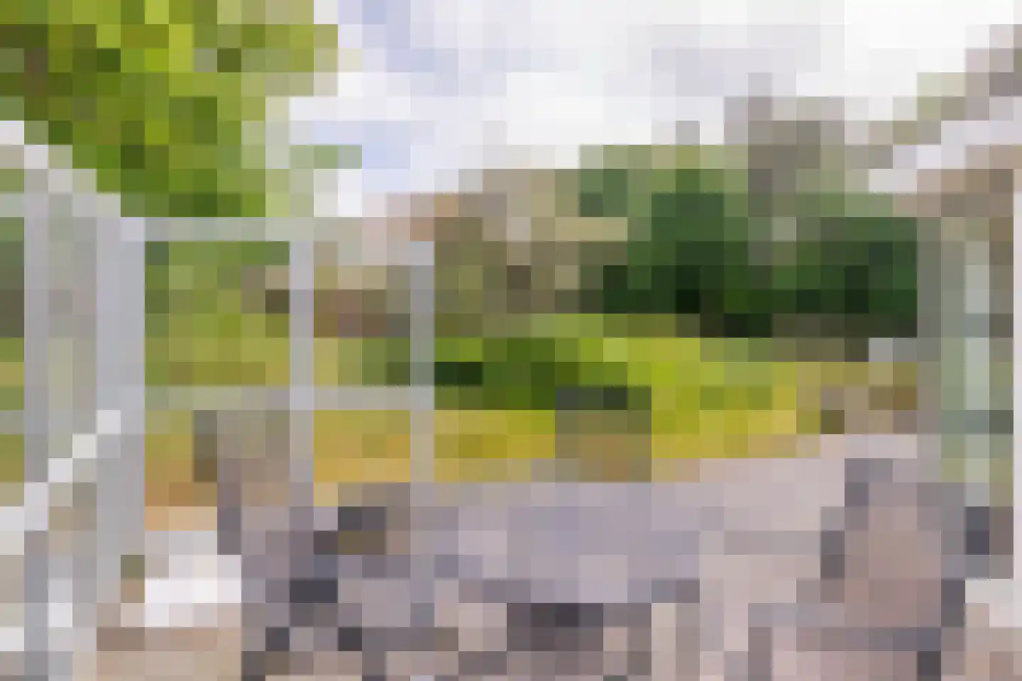 Bosrand 85 Buren thumbnail 43