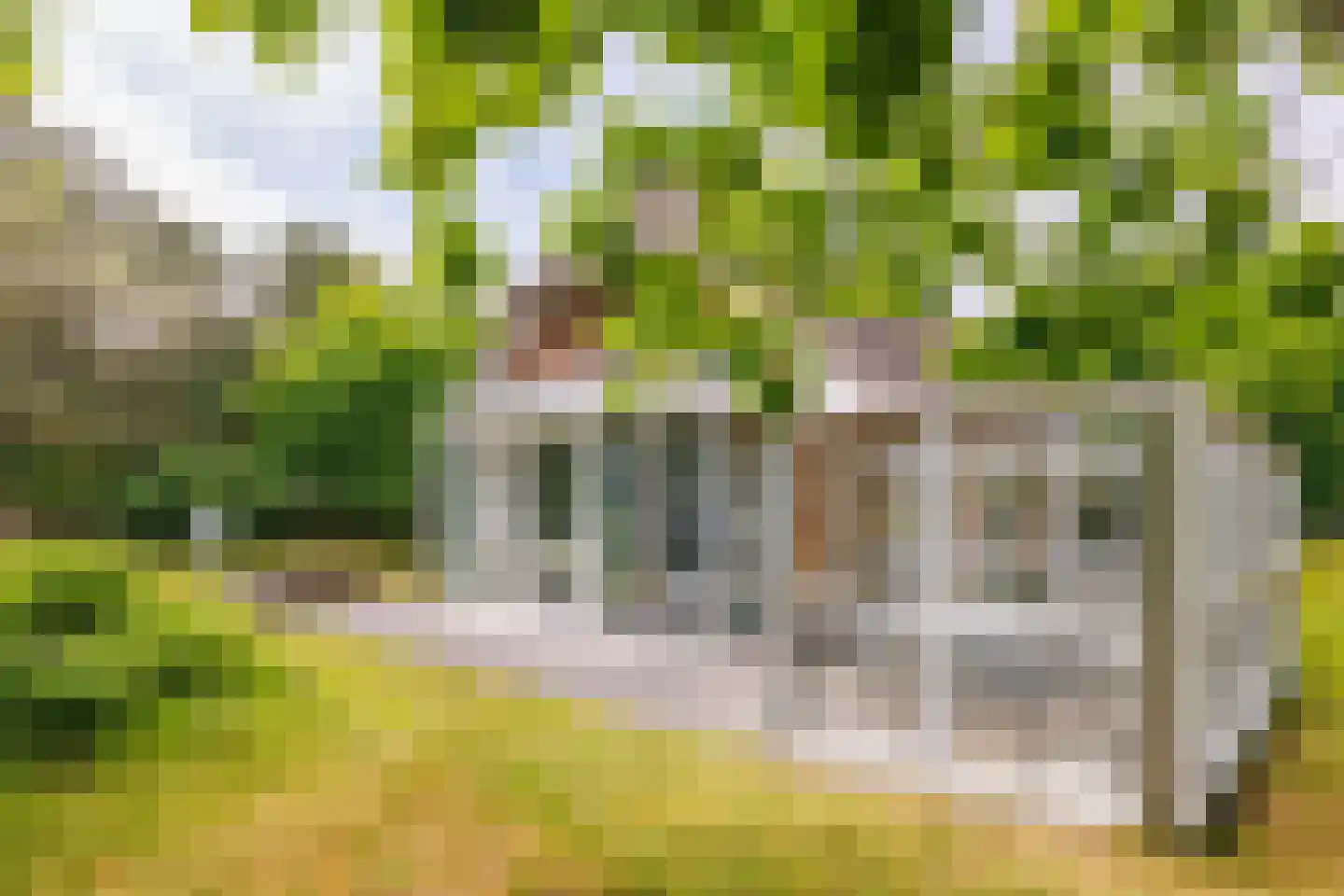 Bosrand 85 Buren thumbnail 44