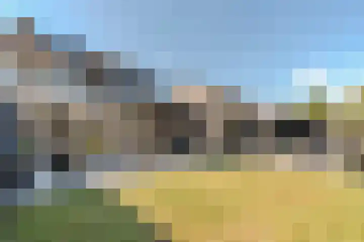 Bosrand 85 Geldrop foto 2